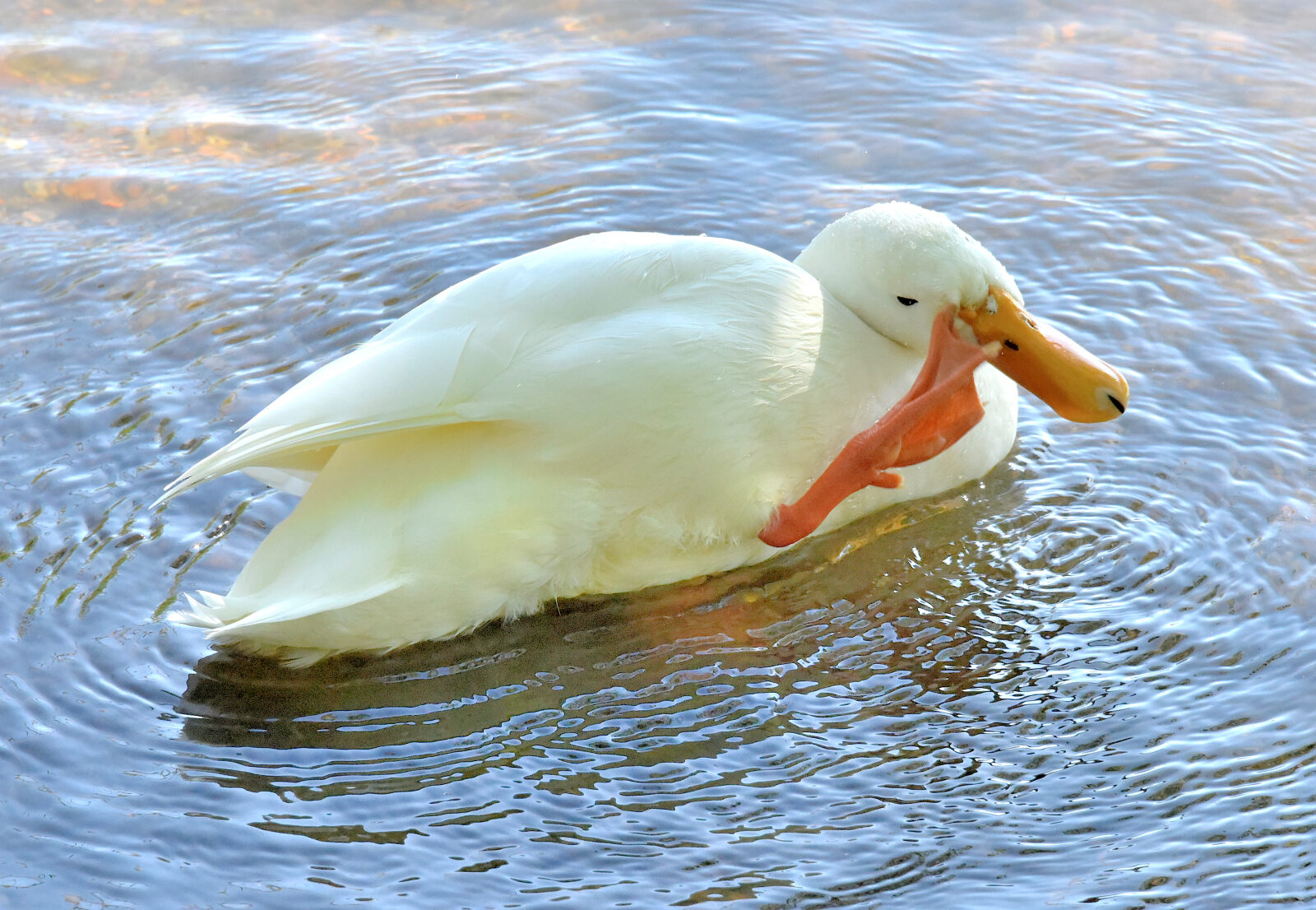 Valokuvaaja: Reijo Juurinen
