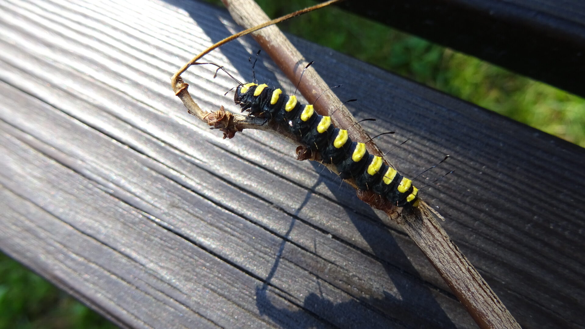 Valokuvaaja: Katja Ketola