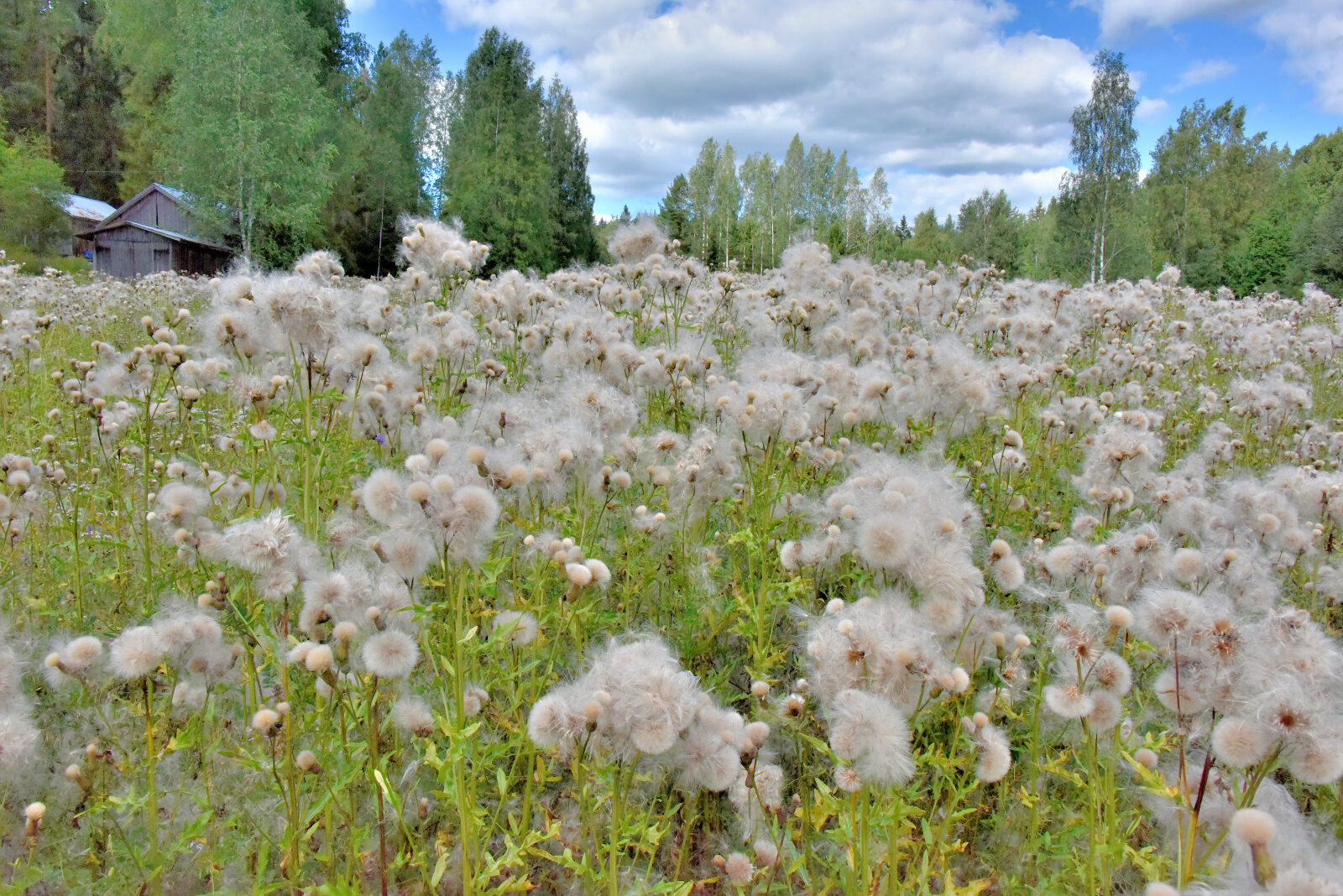 Valokuvaaja: Reijo Juurinen