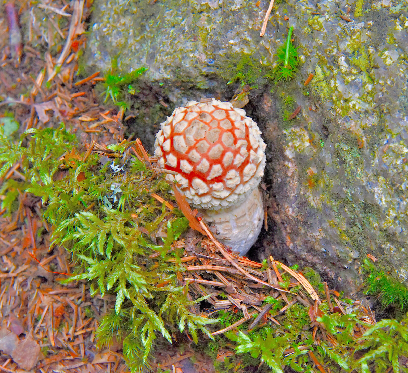 Valokuvaaja: Reijo Juurinen