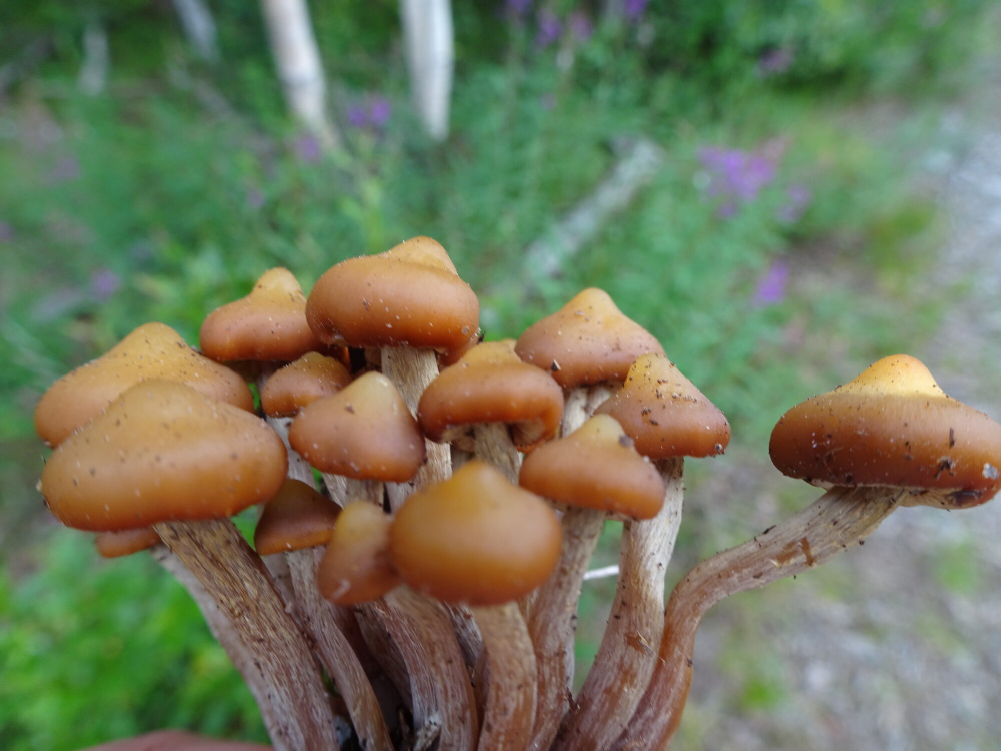 Valokuvaaja: Irja Lehtinen