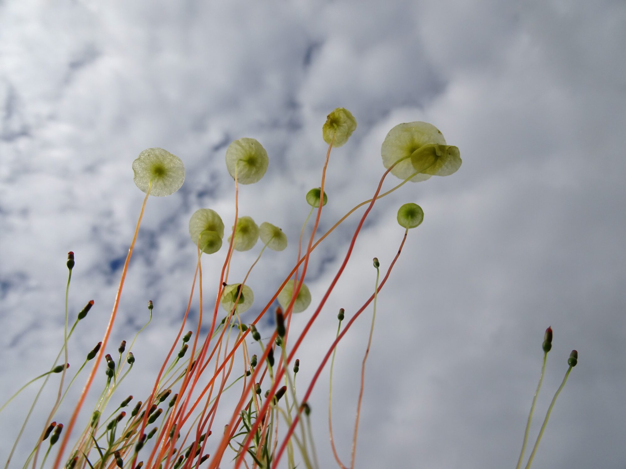Valokuvaaja: Irja Lehtinen