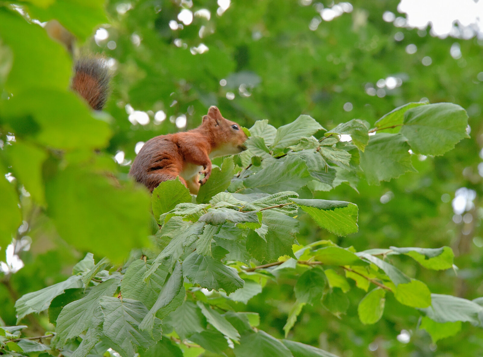 Valokuvaaja: Reijo Juurinen