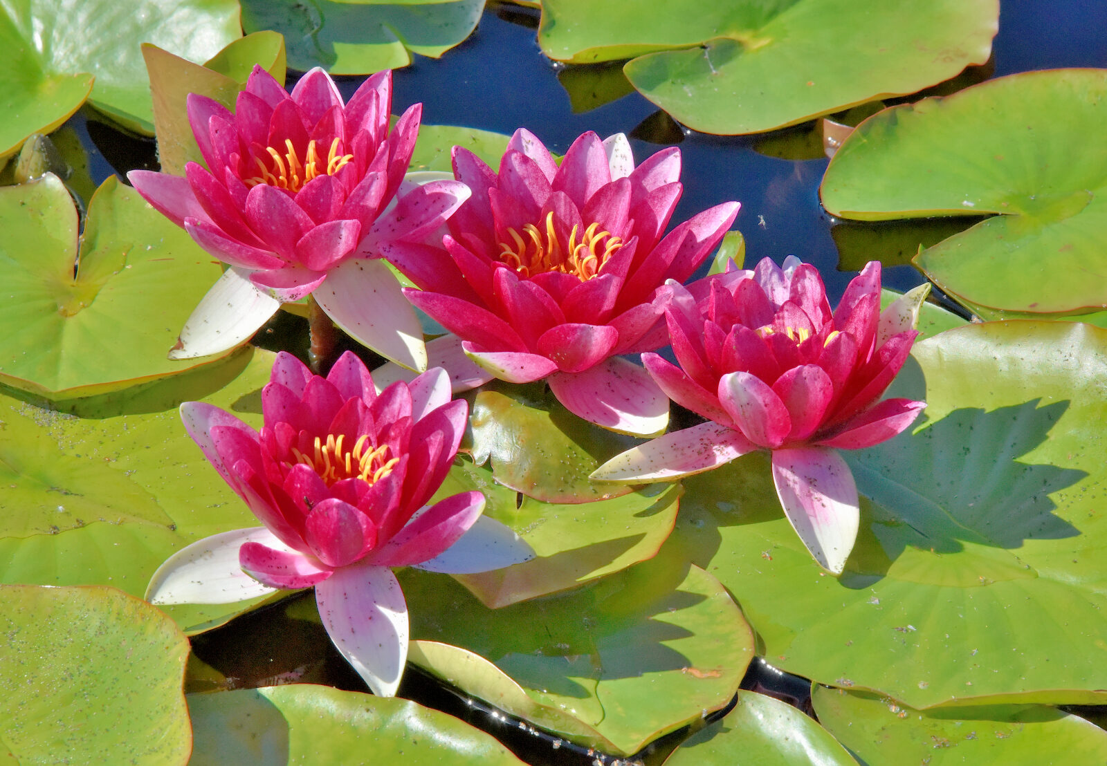 Valokuvaaja: Reijo Juurinen