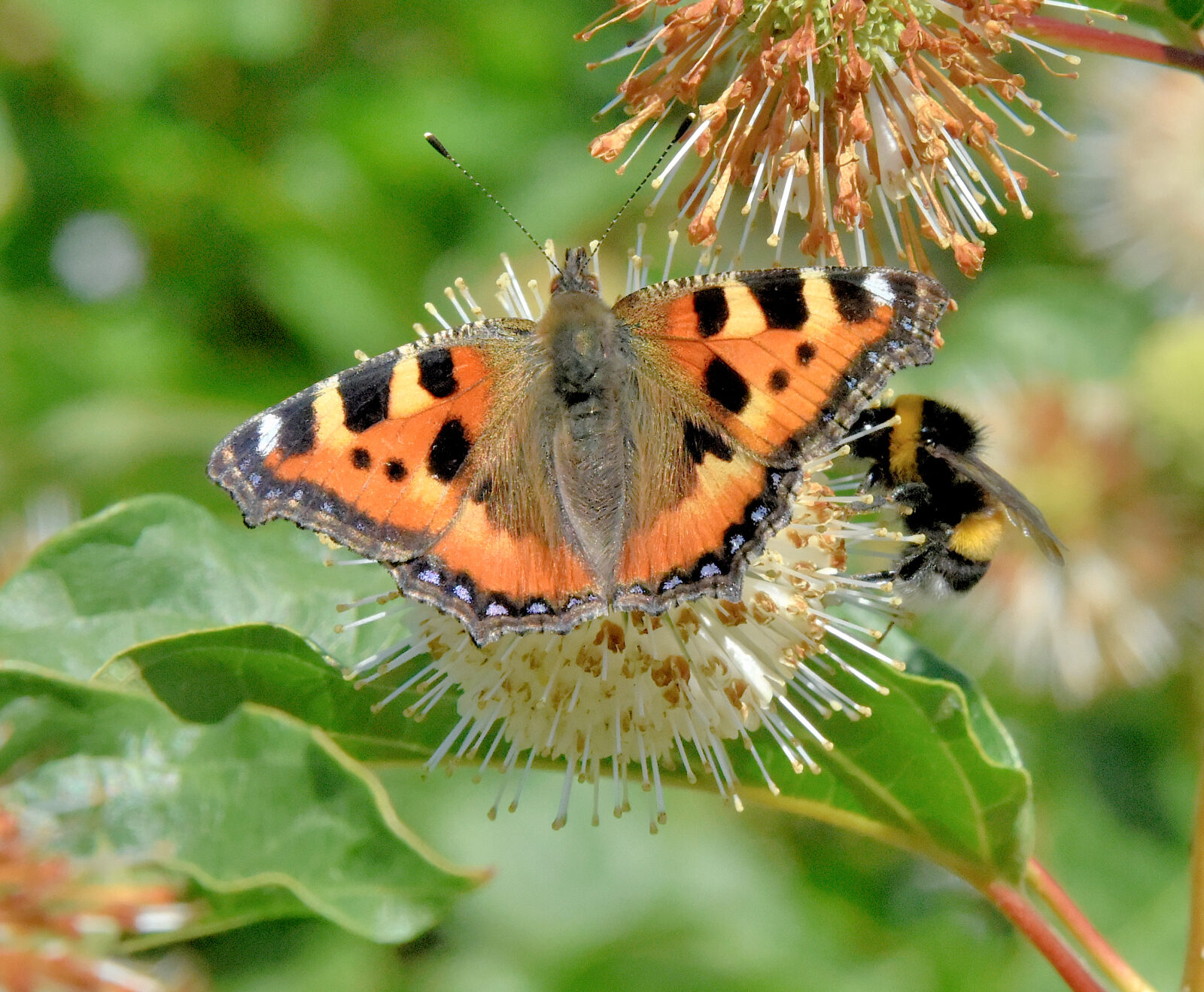 Valokuvaaja: Reijo Juurinen