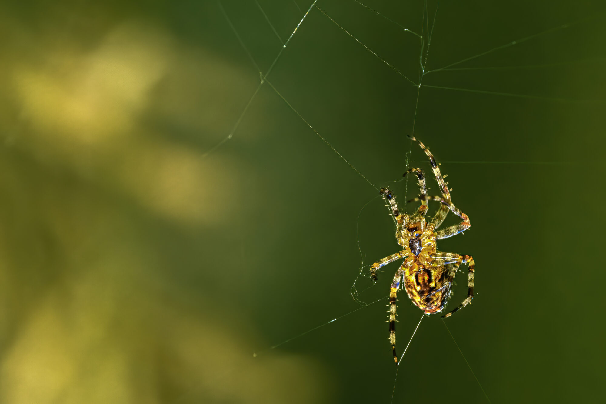 Valokuvaaja: Risto Lavi