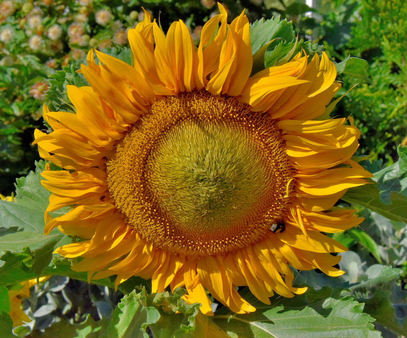 Valokuvaaja: Reijo Juurinen