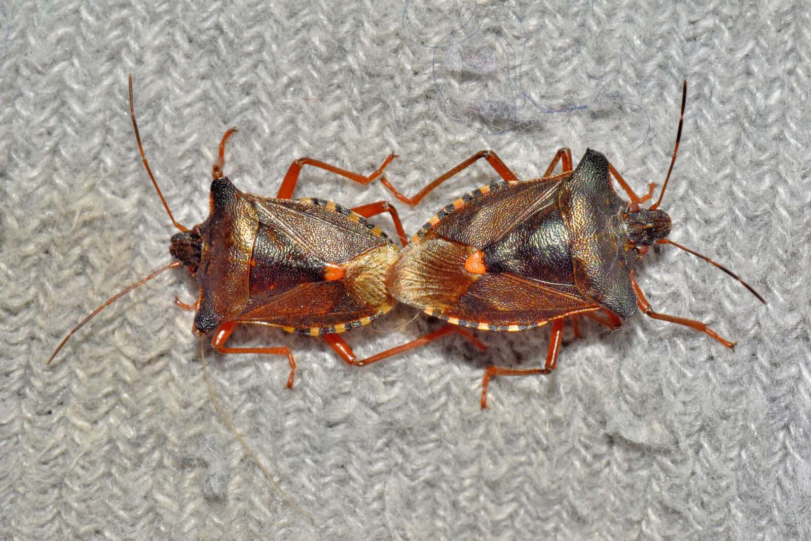 Valokuvaaja: Reijo Juurinen