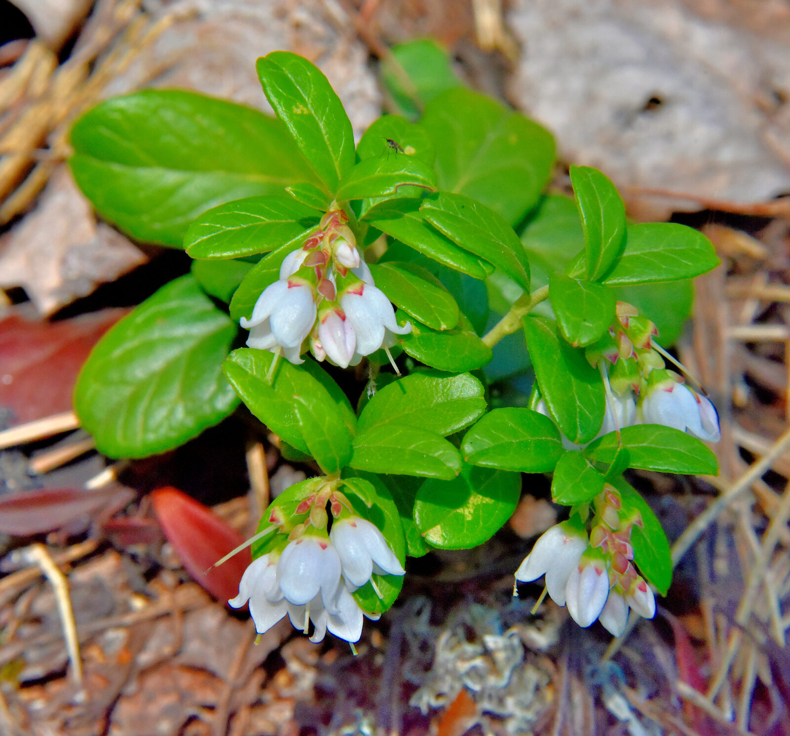 Valokuvaaja: Reijo Juurinen