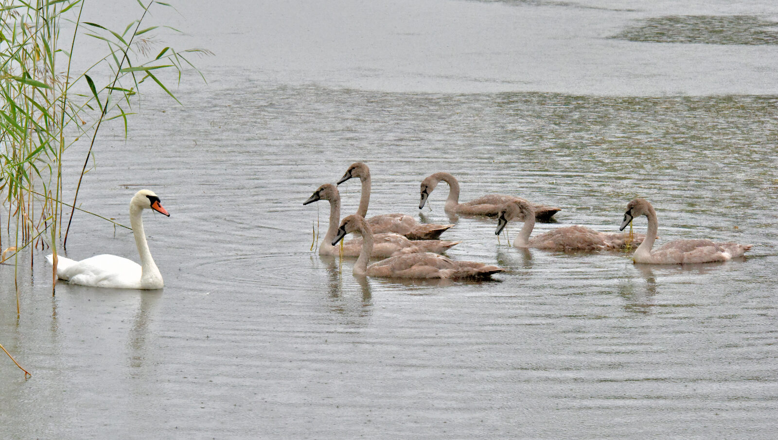 Valokuvaaja: Reijo Juurinen