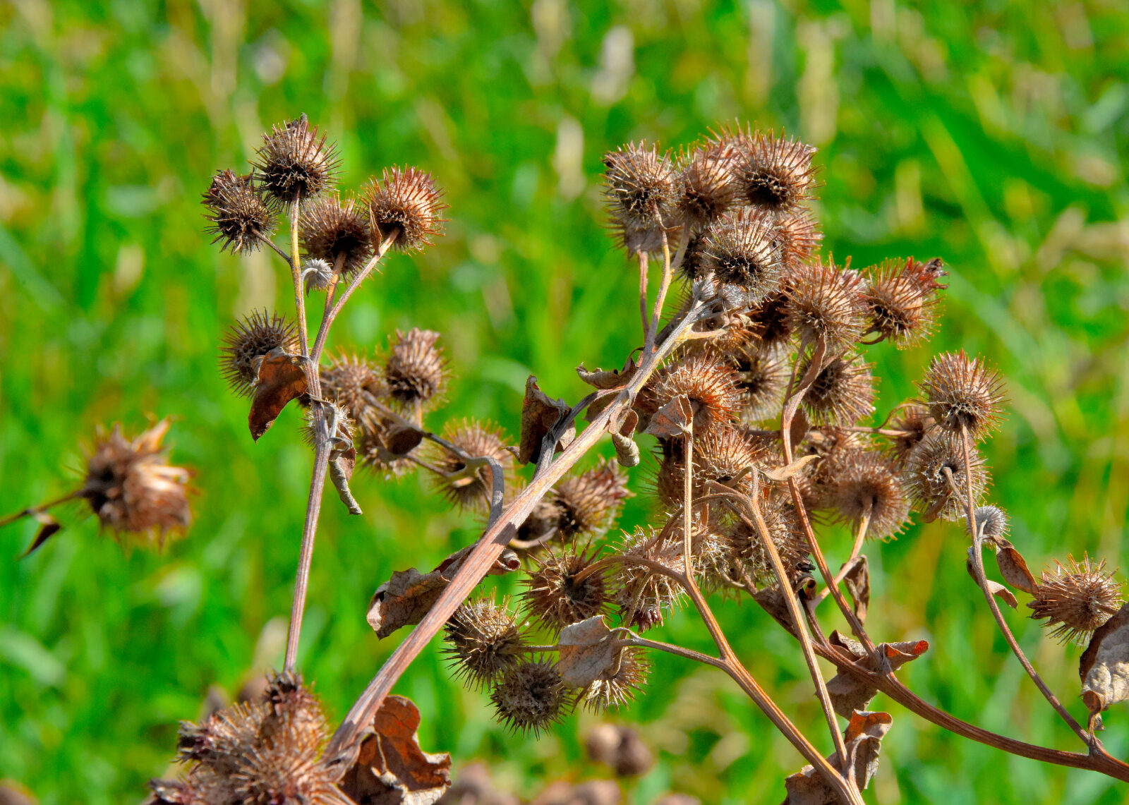 Valokuvaaja: Reijo Juurinen