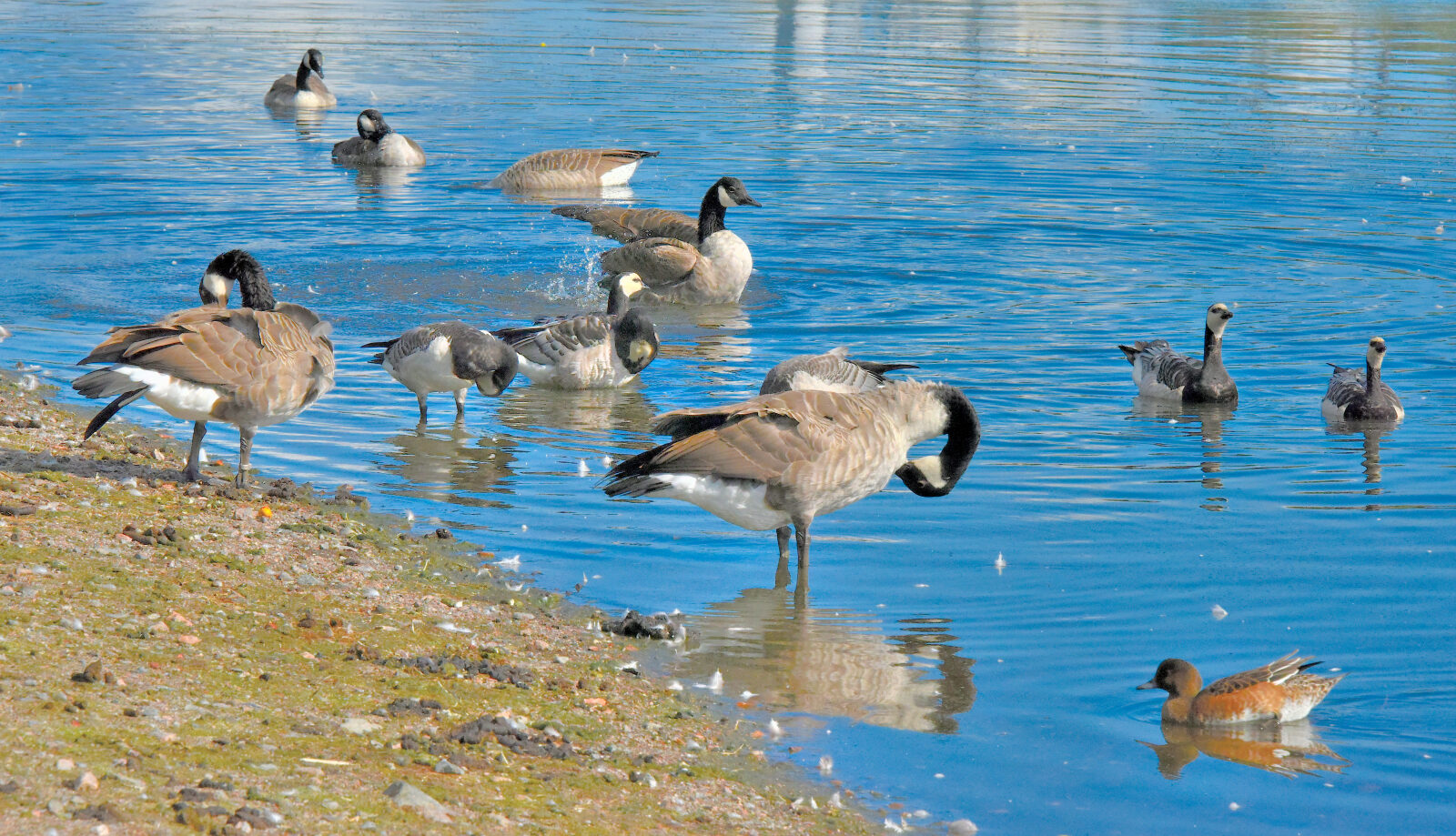 Valokuvaaja: Reijo Juurinen