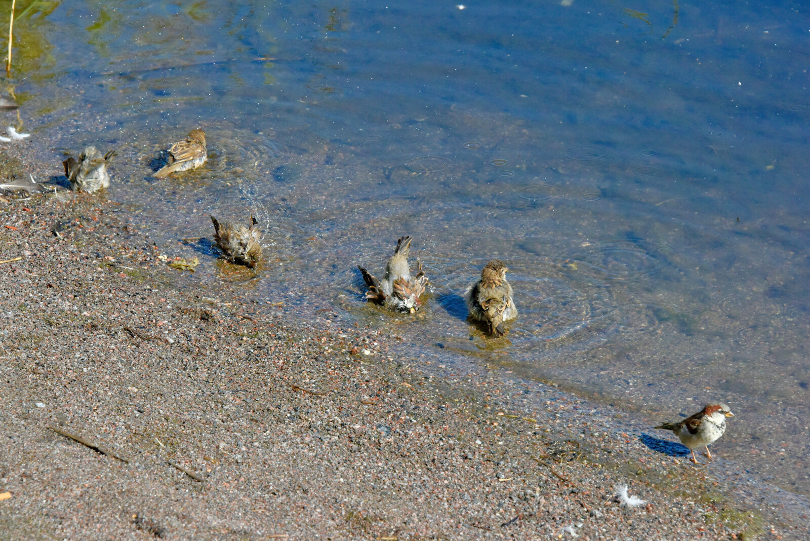 Valokuvaaja: Reijo Juurinen