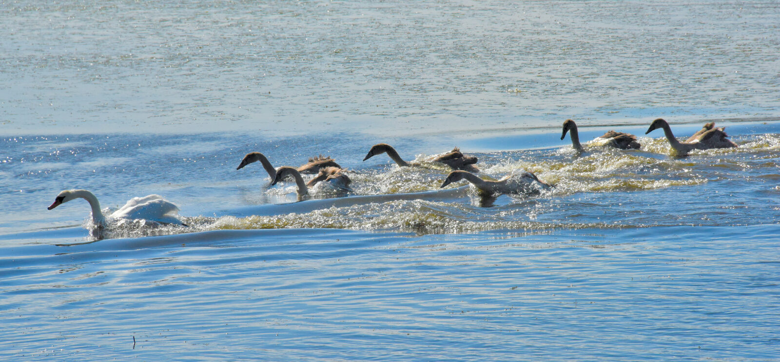 Valokuvaaja: Reijo Juurinen