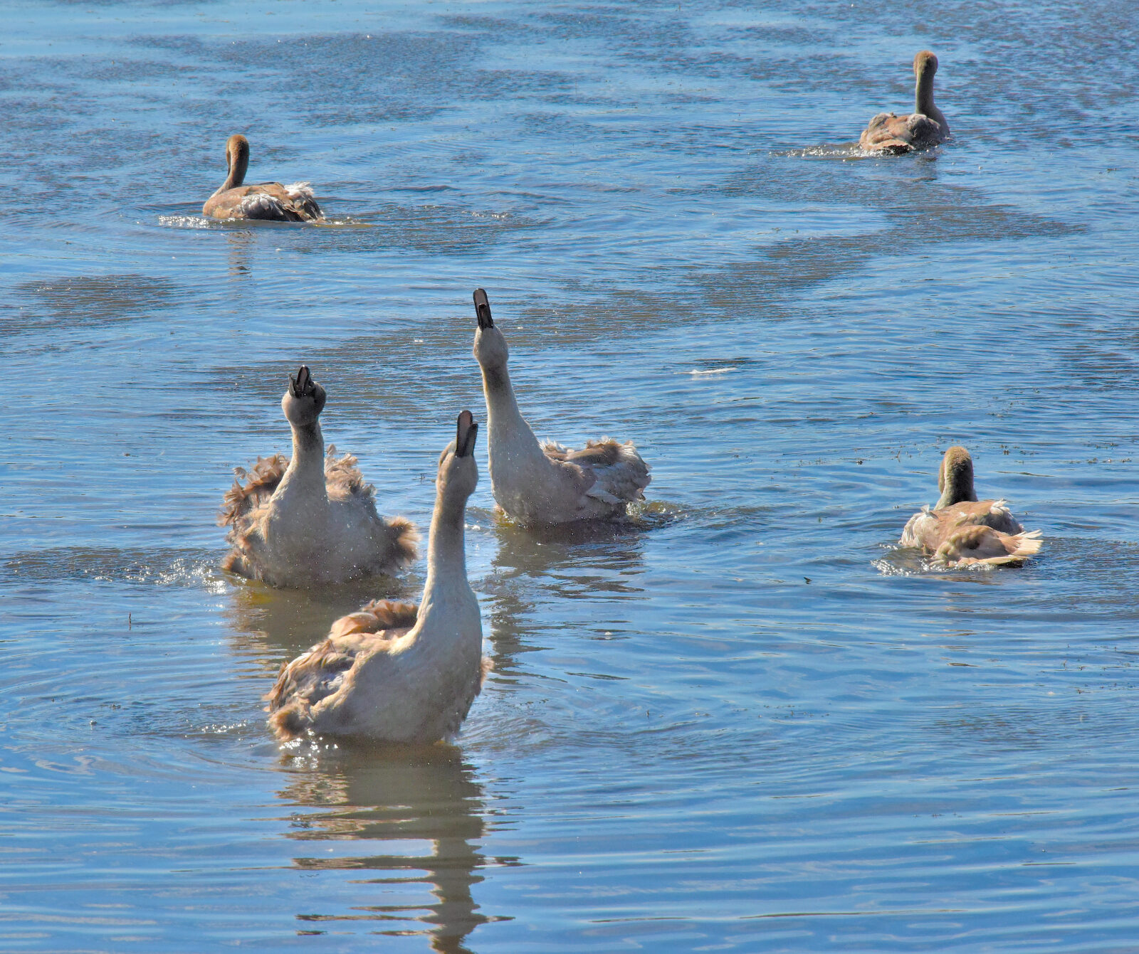 Valokuvaaja: Reijo Juurinen