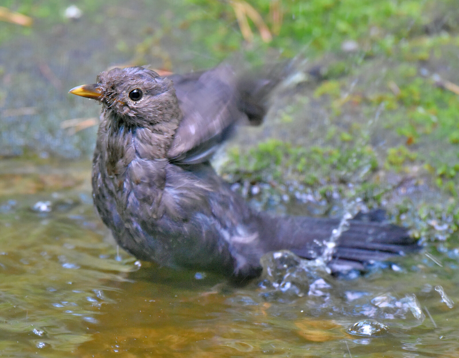 Valokuvaaja: Reijo Juurinen
