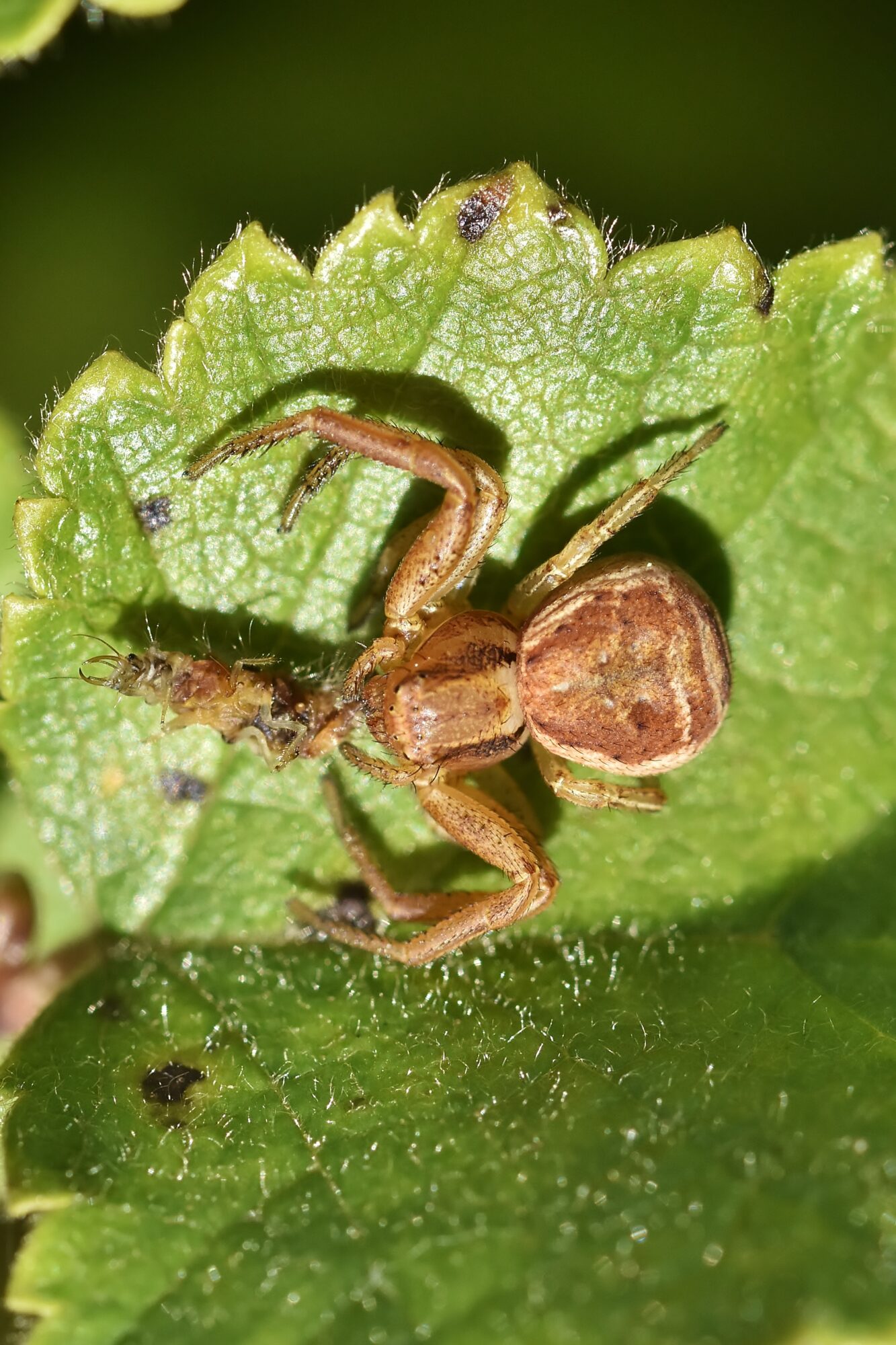 Valokuvaaja: Markku Pelkonen