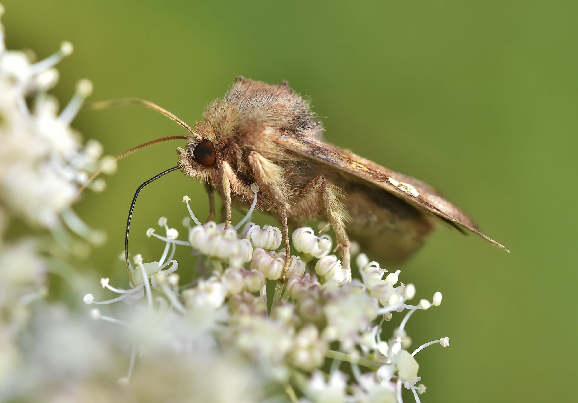 Valokuvaaja: Markku Pelkonen