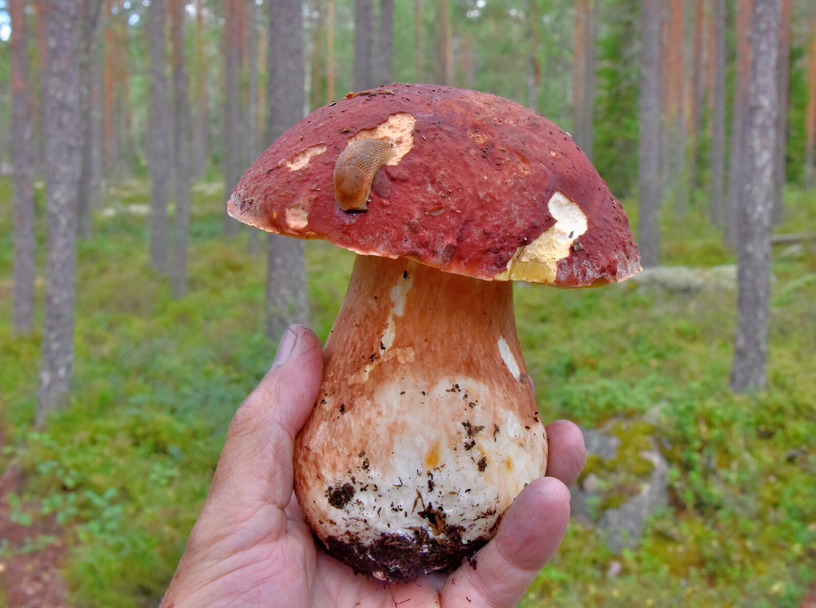 Valokuvaaja: Reijo Juurinen