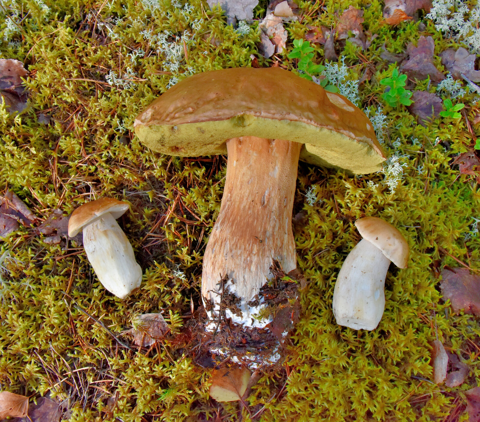 Valokuvaaja: Reijo Juurinen