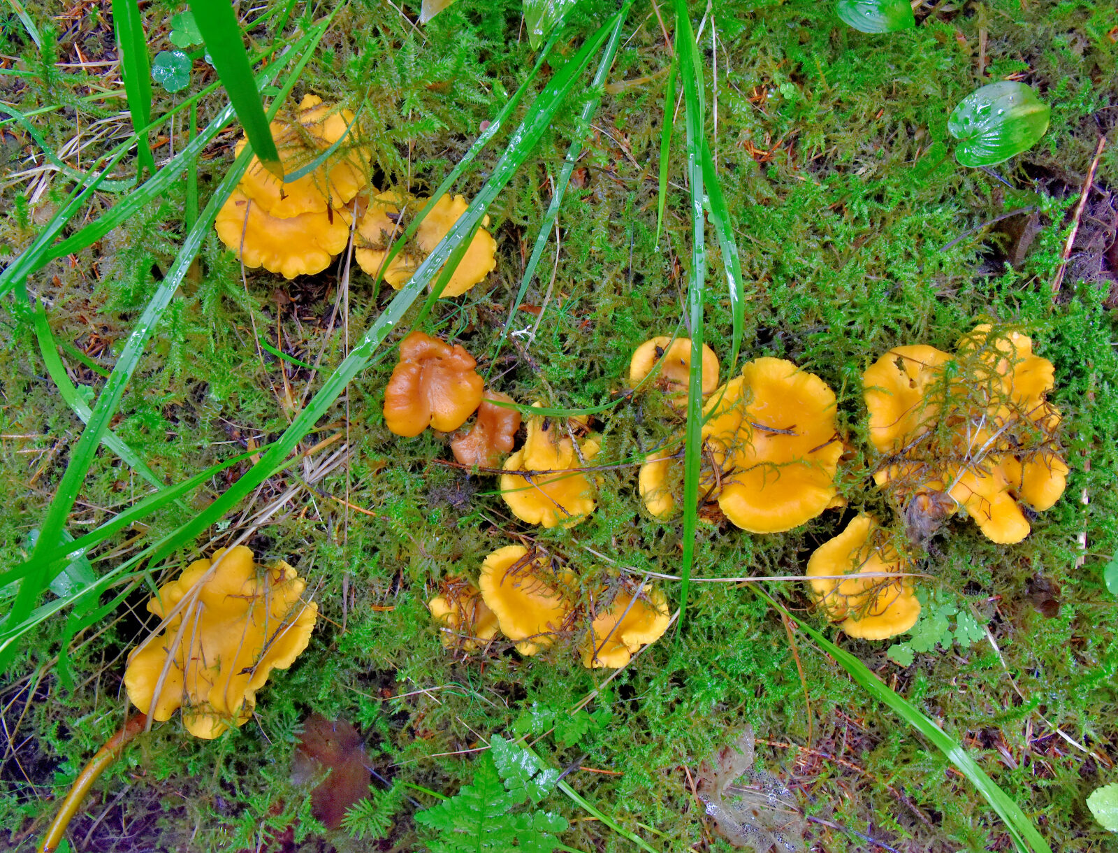 Valokuvaaja: Reijo Juurinen