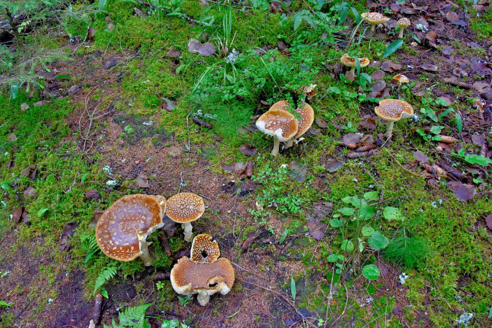 Valokuvaaja: Reijo Juurinen