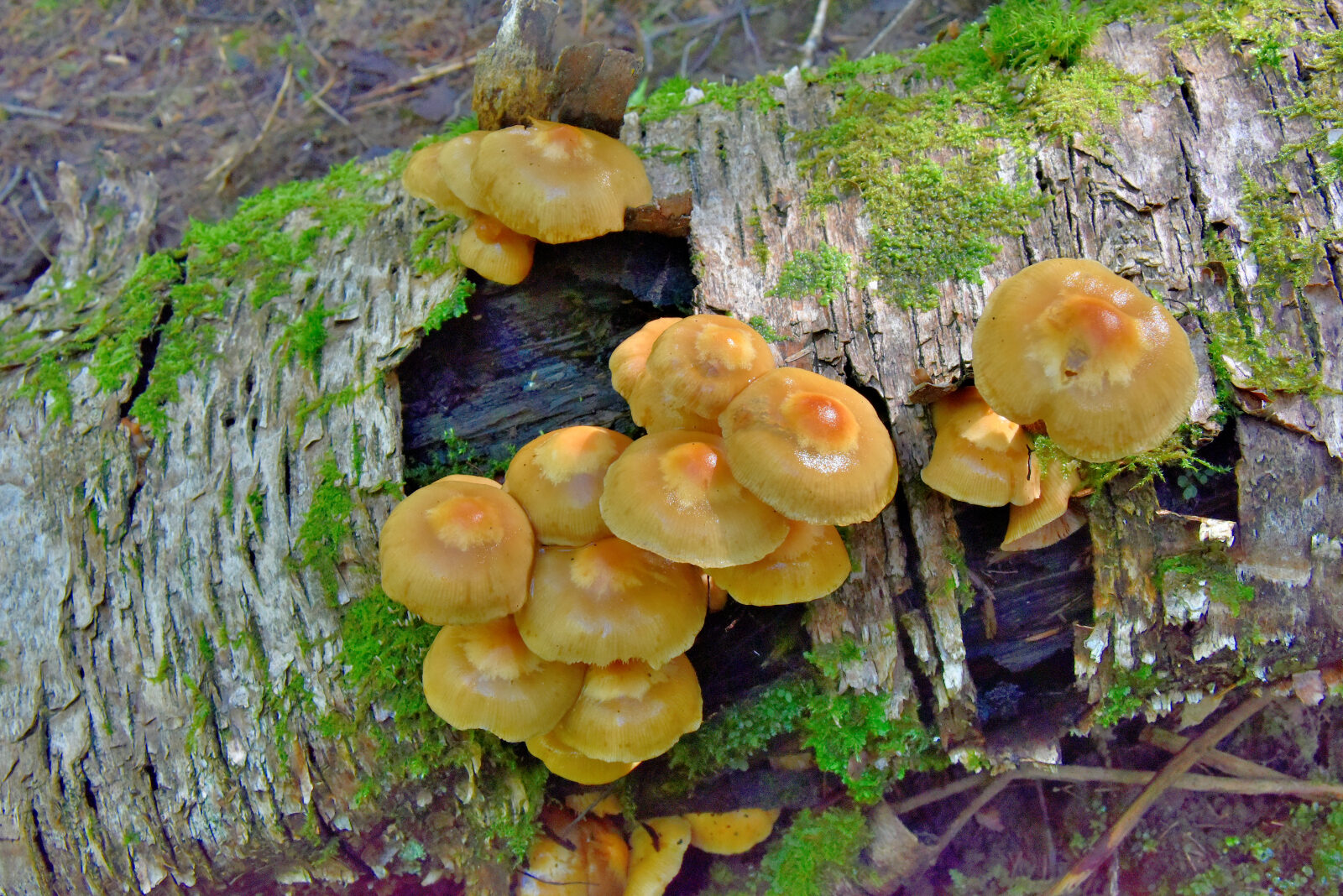 Valokuvaaja: Reijo Juurinen