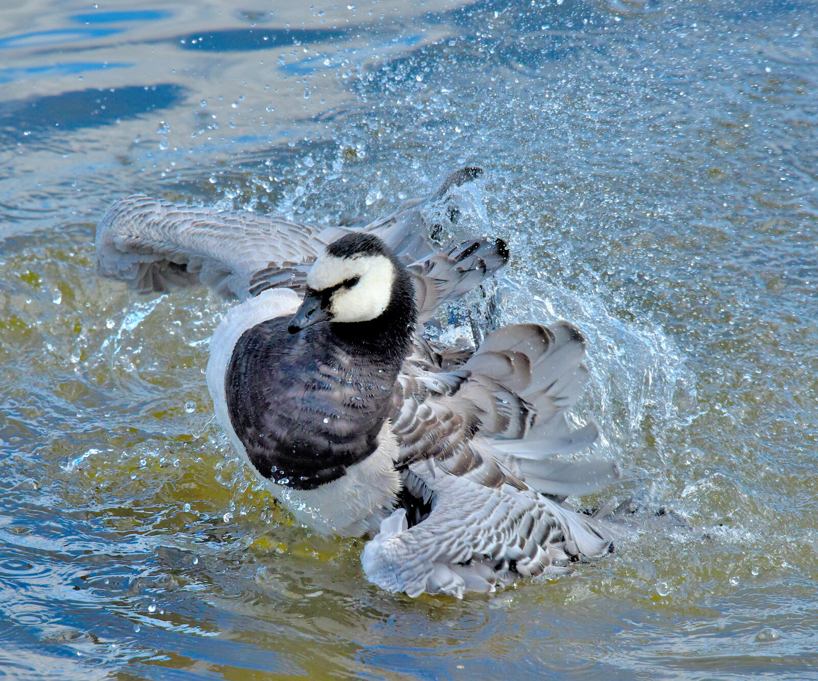 Valokuvaaja: Reijo Juurinen