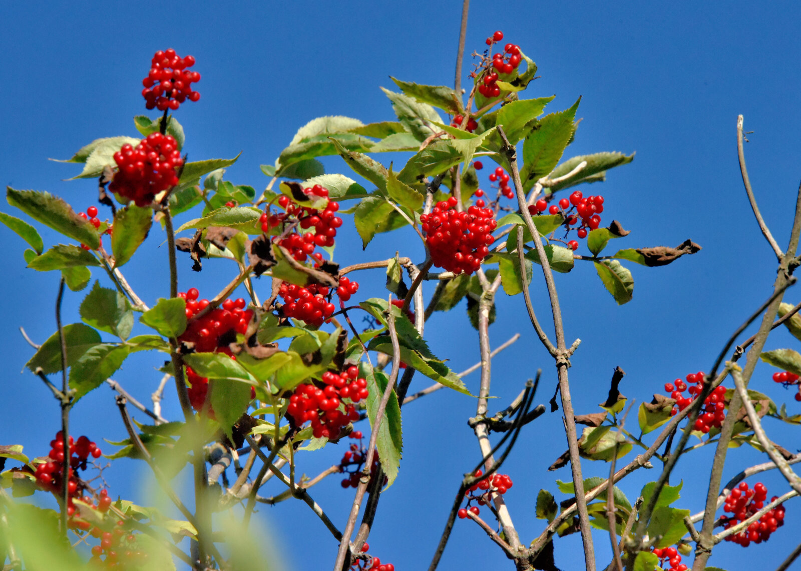 Valokuvaaja: Reijo Juurinen