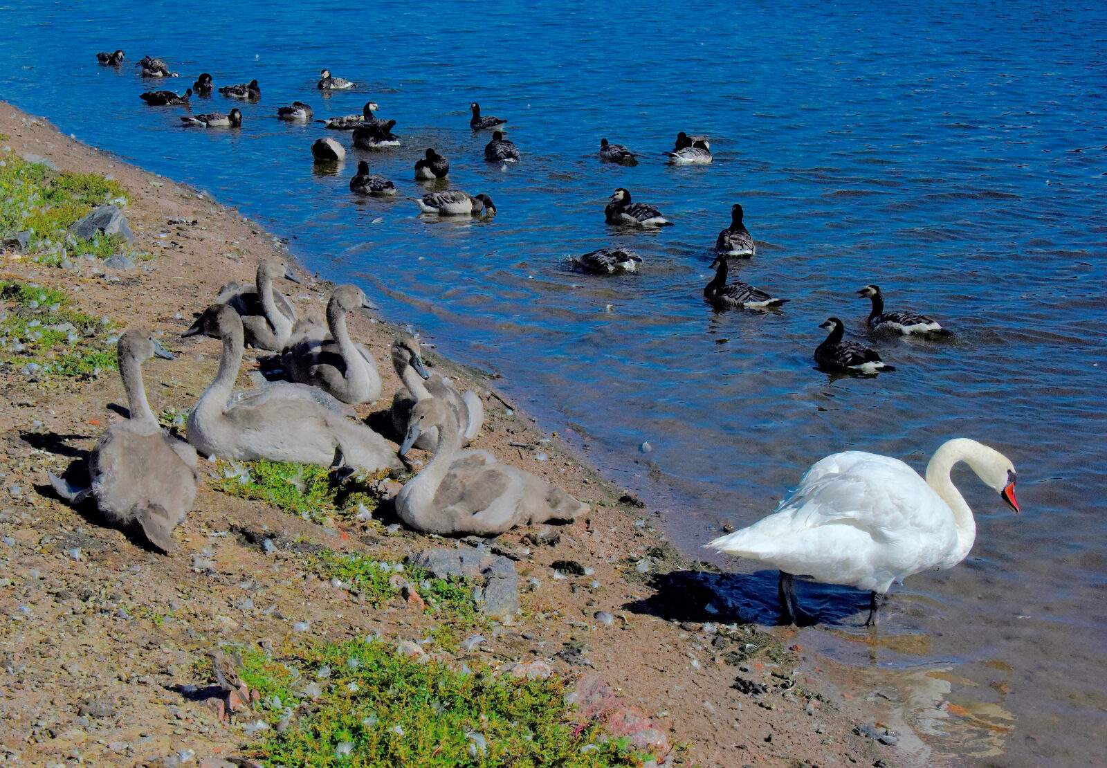 Valokuvaaja: Reijo Juurinen