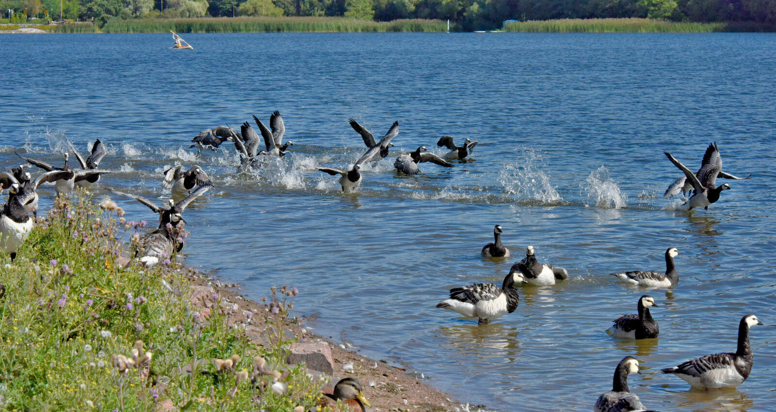Valokuvaaja: Reijo Juurinen