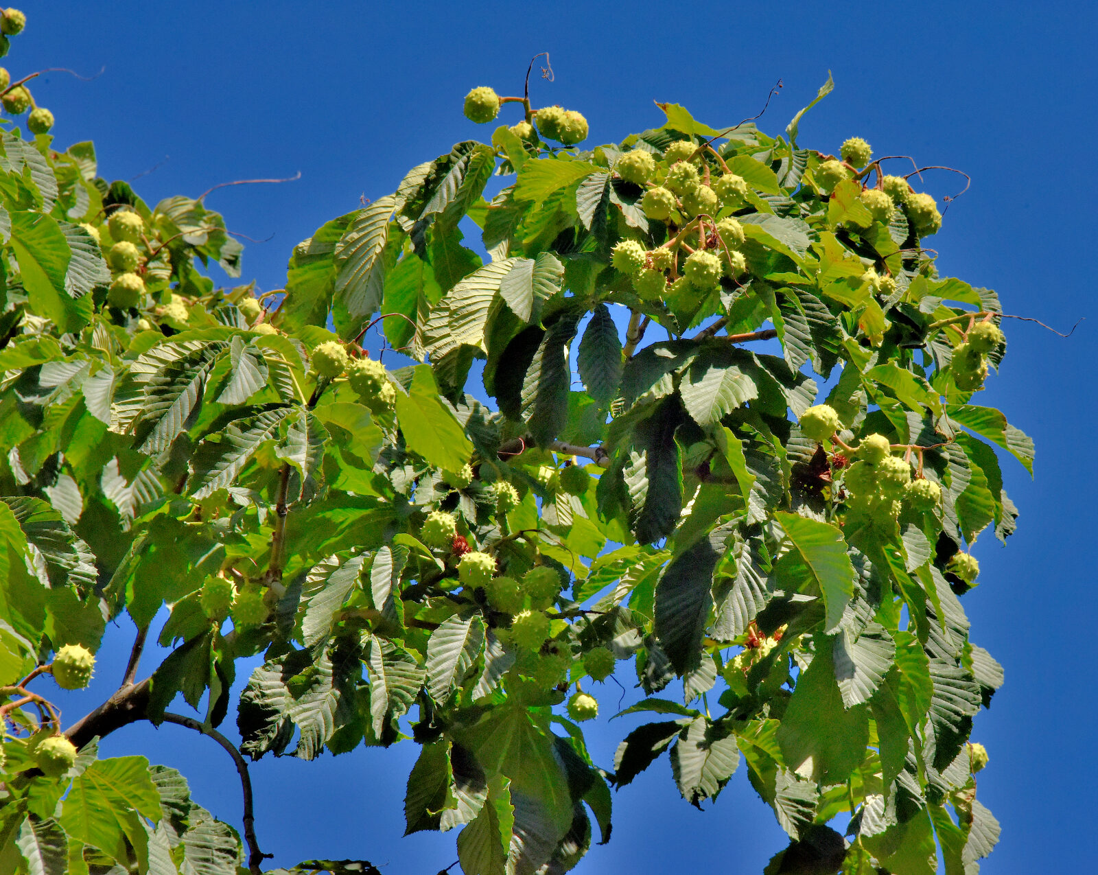 Valokuvaaja: Reijo Juurinen