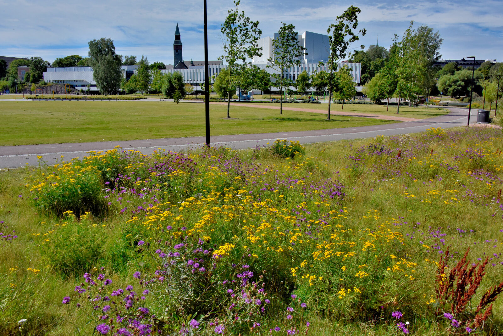 Valokuvaaja: Reijo Juurinen