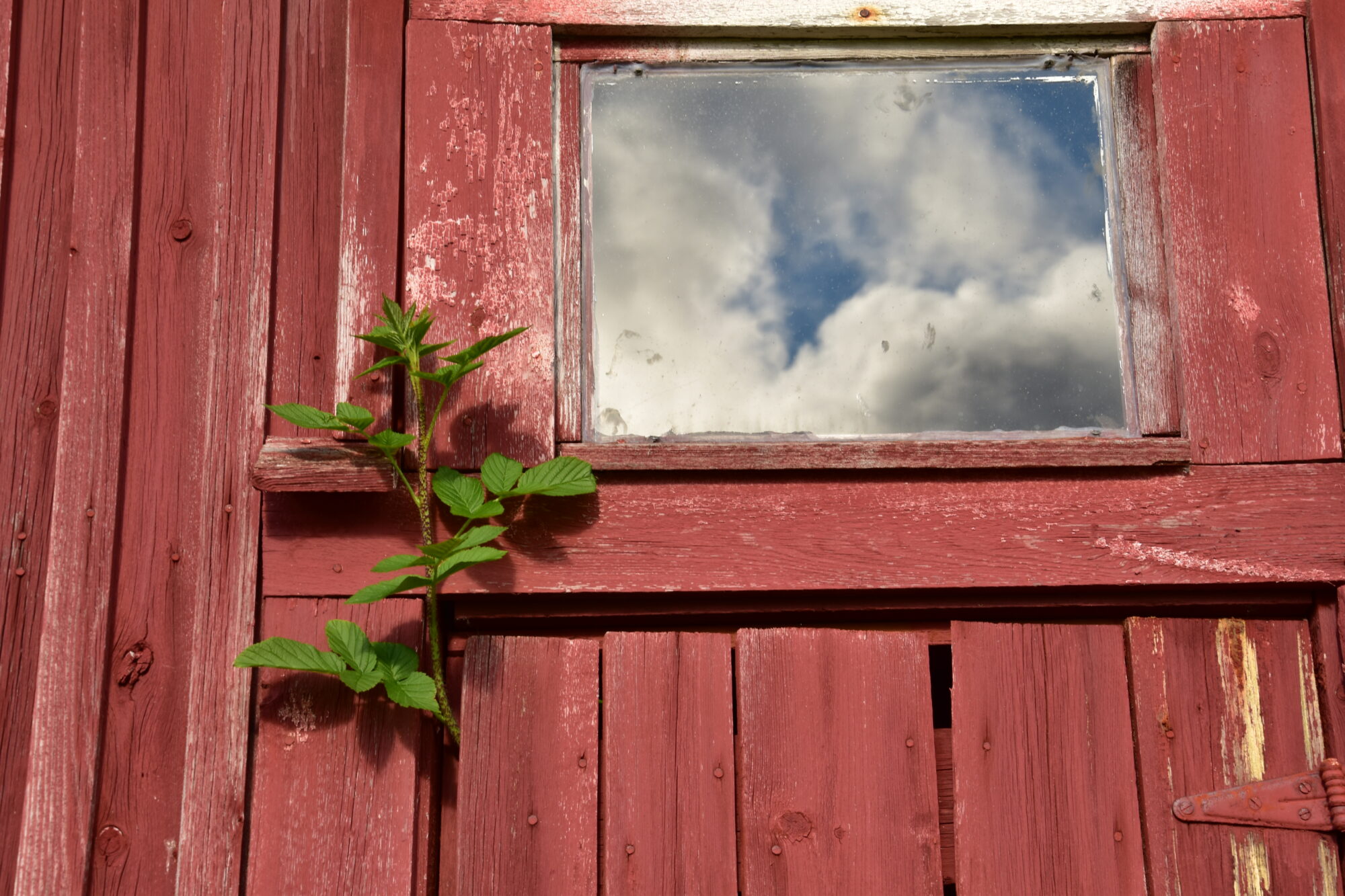 Valokuvaaja: Lahja Toivanen