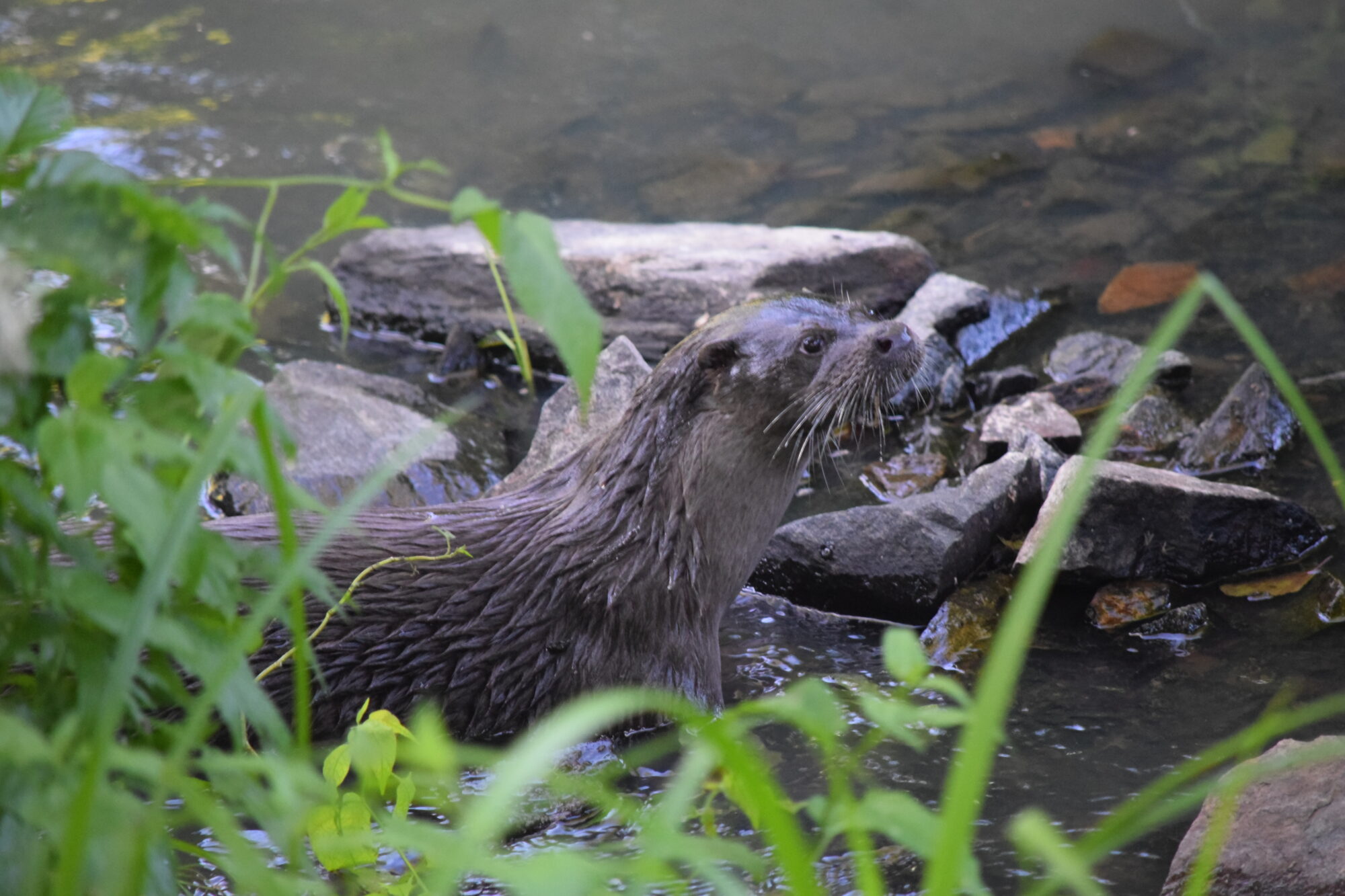 Valokuvaaja: Riitta  Marjamäki