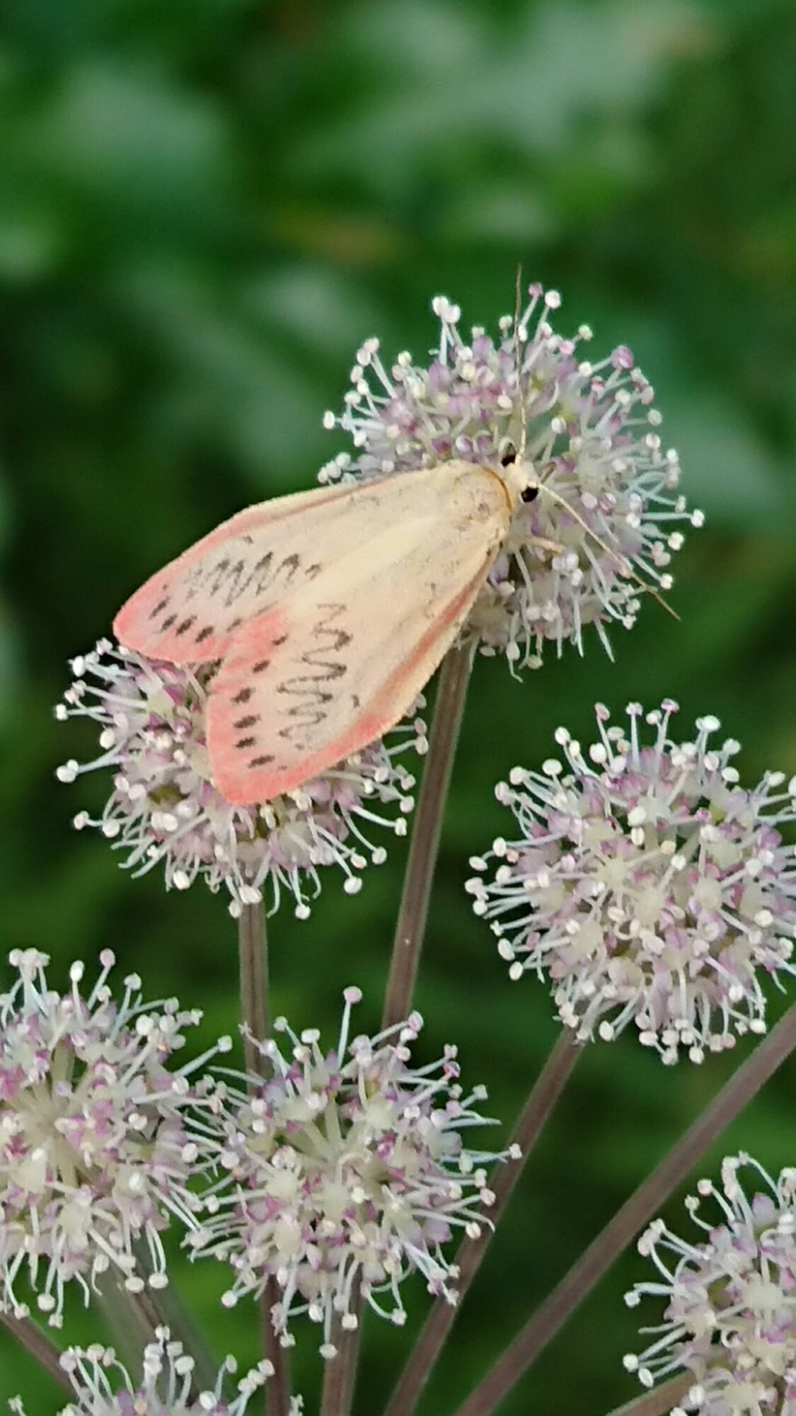Valokuvaaja: Mari Kervinen Valokuvaaja: Mari Kervinen