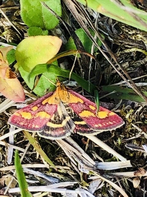 Valokuvaaja: Marjukka Halonen Valokuvaaja: Marjukka Halonen