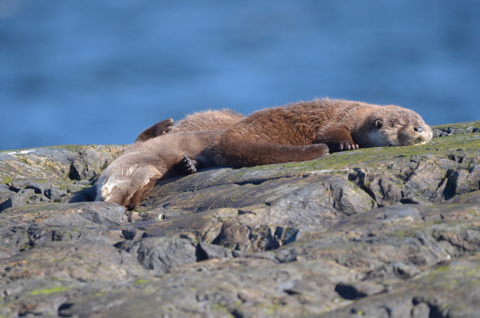 Valokuvaaja: Jouko Etelä Valokuvaaja: Jouko Etelä
