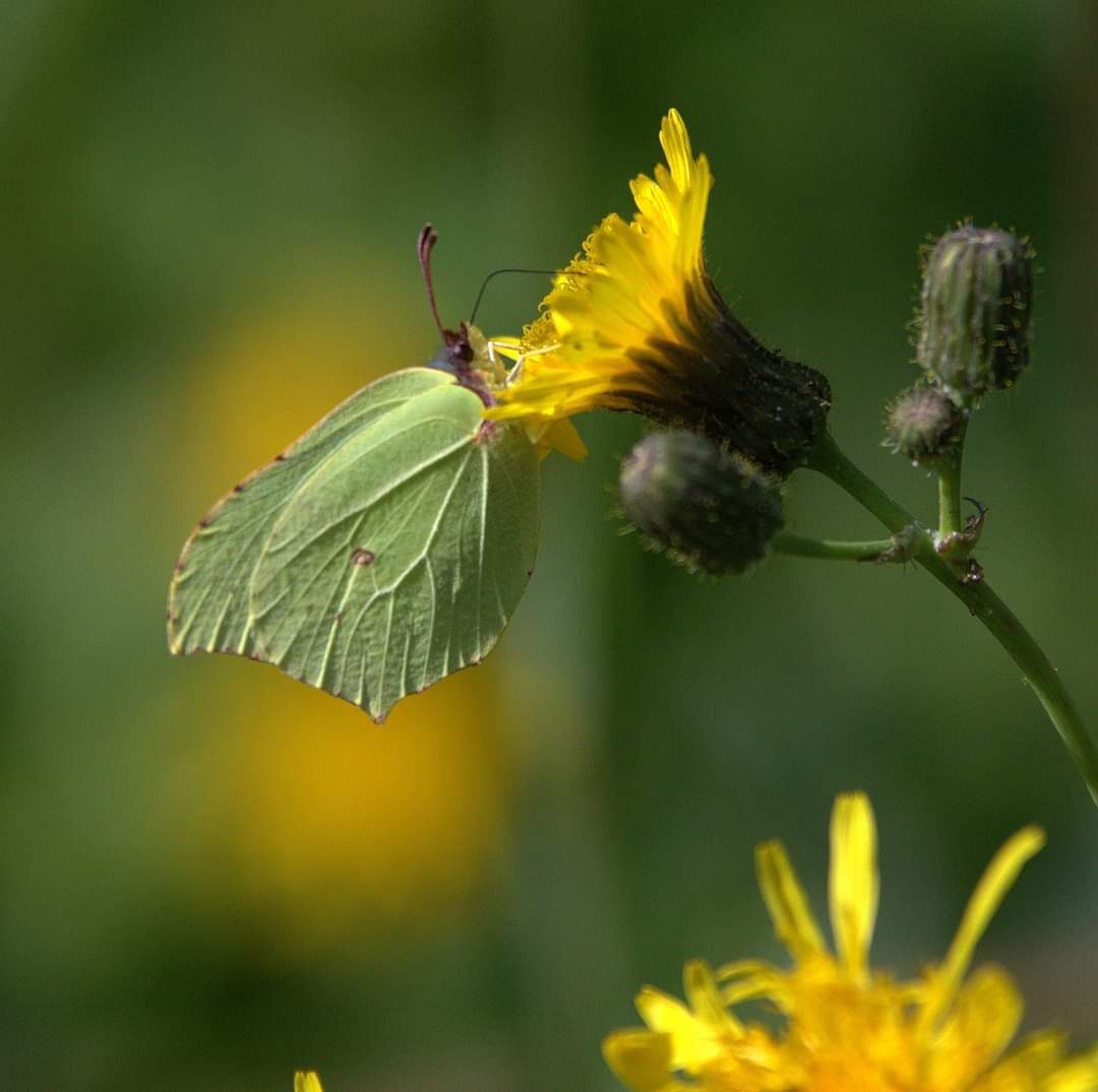 Valokuvaaja: Tapio Keinonen