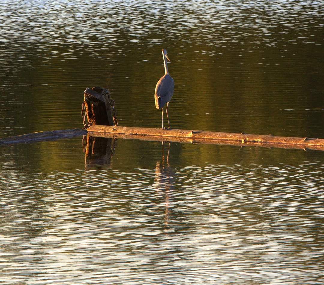 Valokuvaaja: Tapio Keinonen Valokuvaaja: Tapio Keinonen