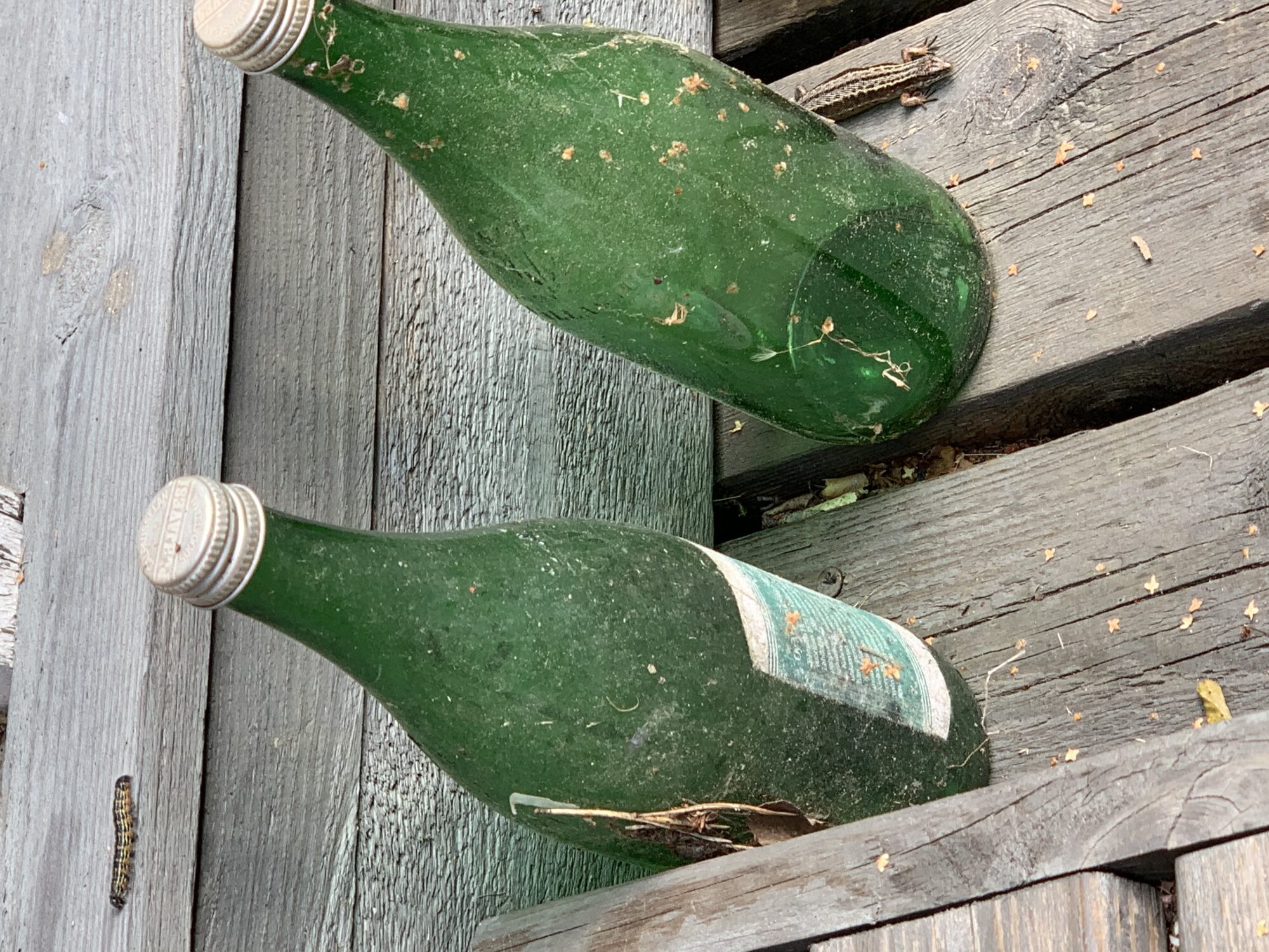 Valokuvaaja: Matti Kaskels