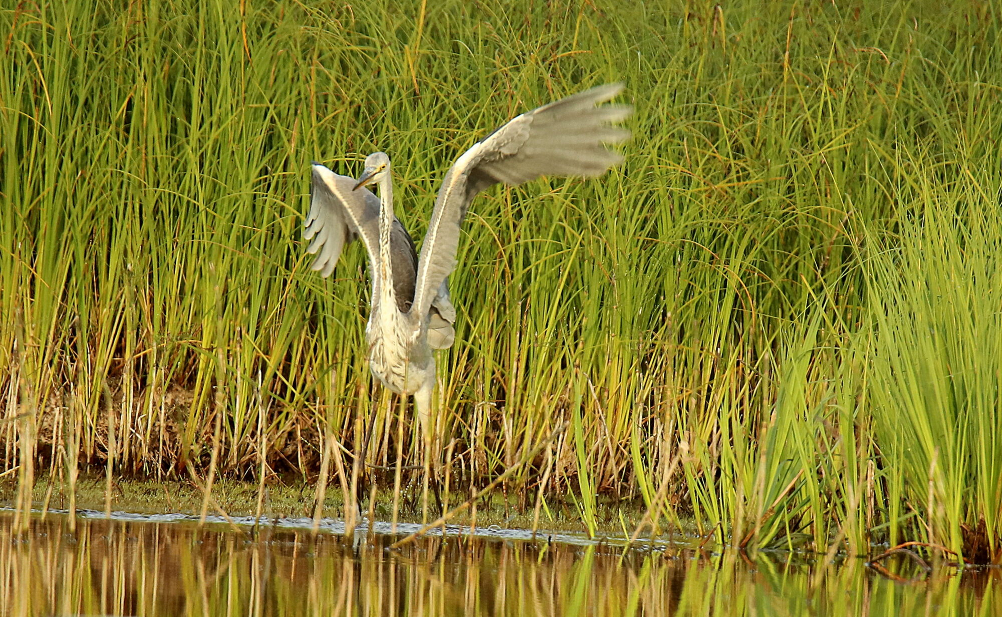 Valokuvaaja: sirpa jyske