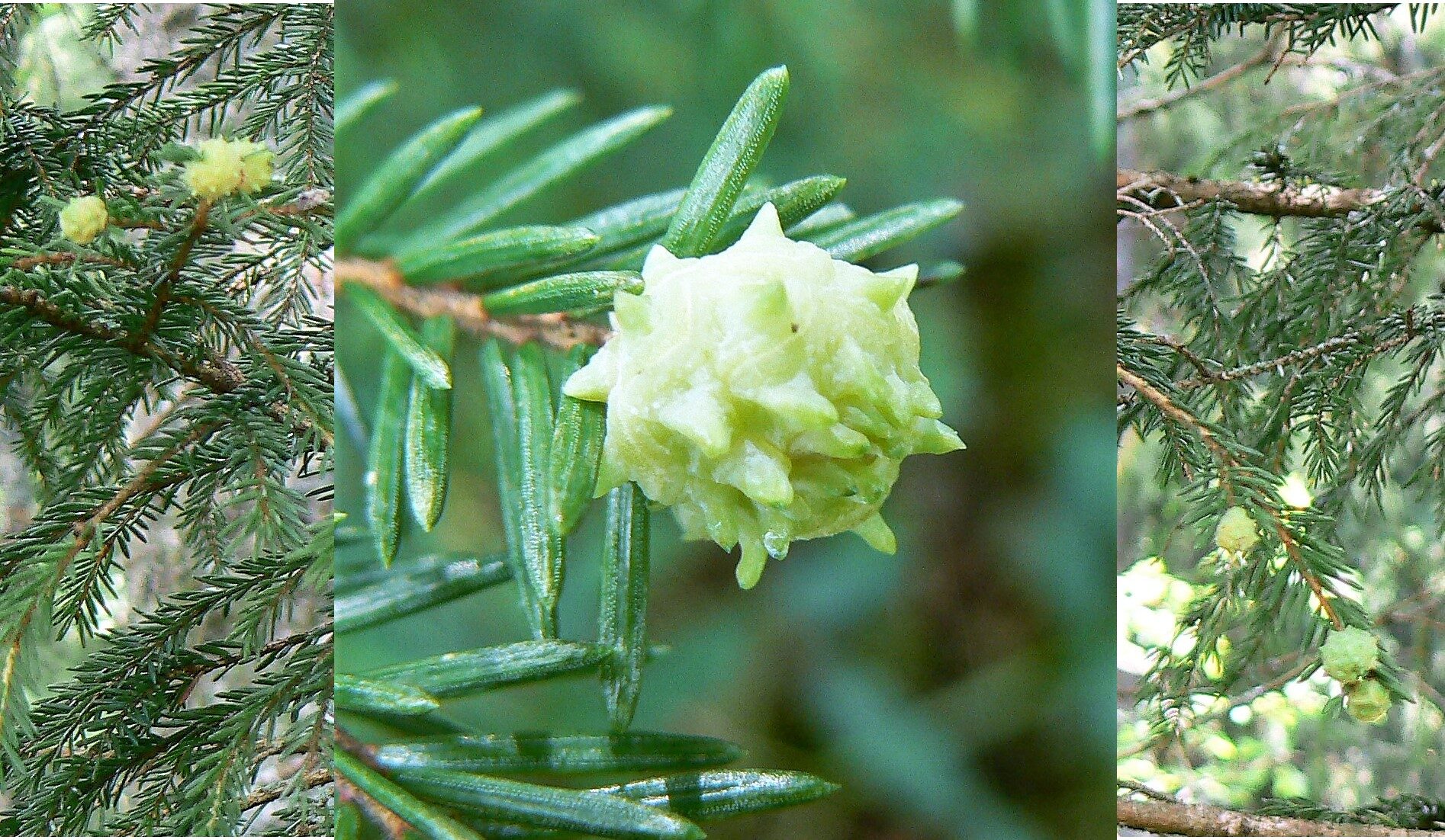 Valokuvaaja: Pekka Heino