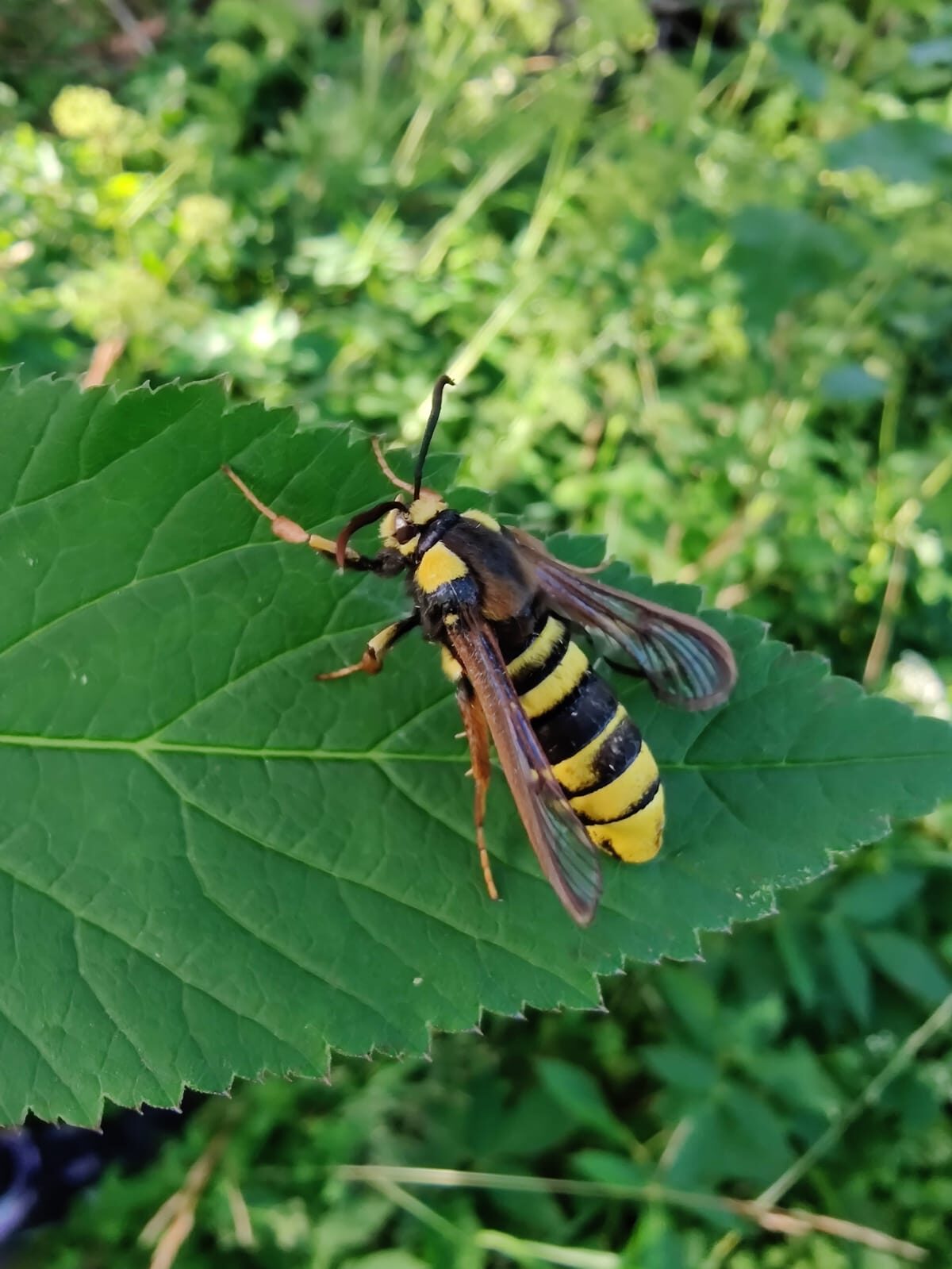 Valokuvaaja: Helinä Anttila