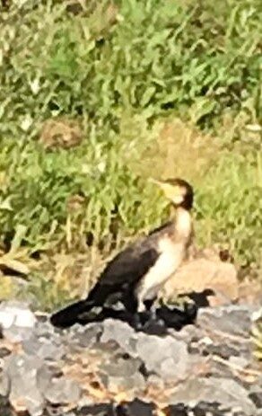 Valokuvaaja: Jorma Nissinen