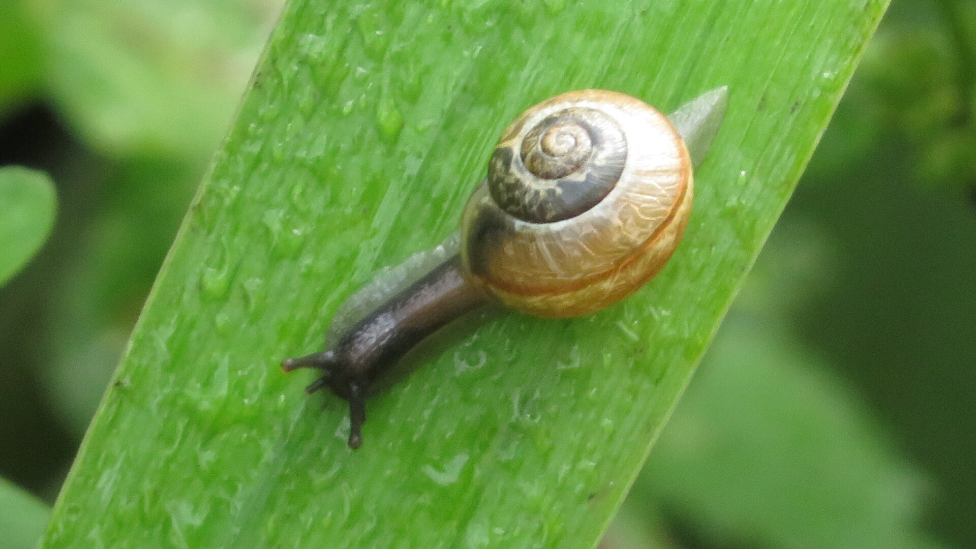 Valokuvaaja: Risto Kangassalo