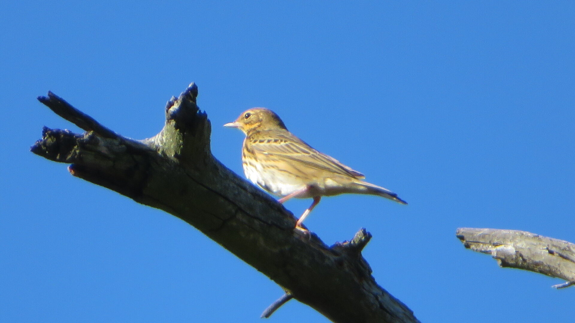 Valokuvaaja: Risto Kangassalo