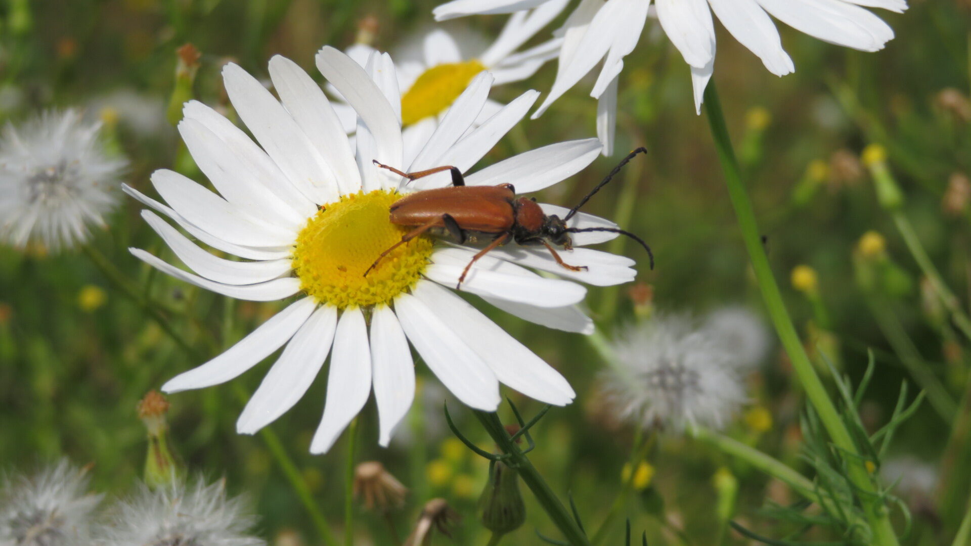 Valokuvaaja: Risto Kangassalo Valokuvaaja: Risto Kangassalo