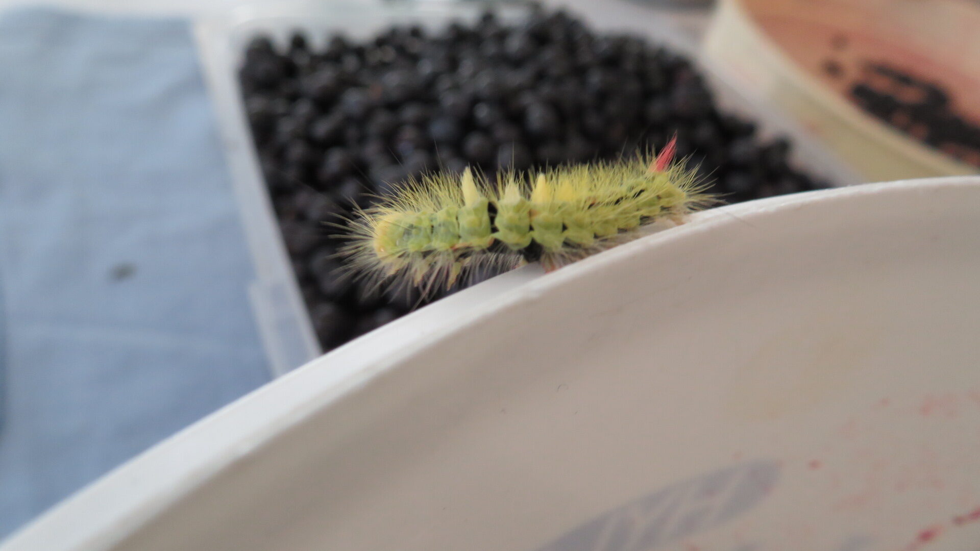 Valokuvaaja: Risto Kangassalo