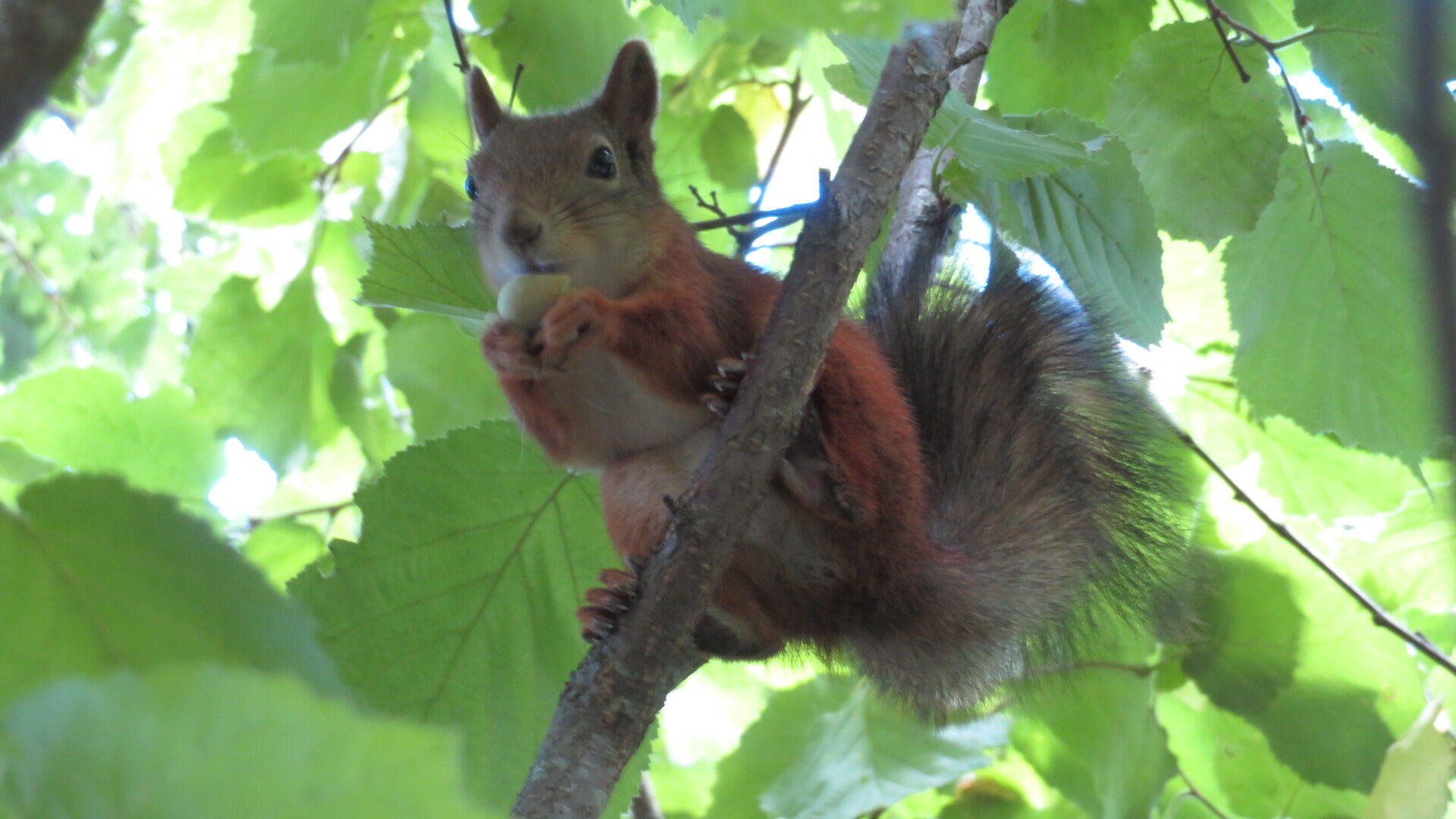 Valokuvaaja: Risto Kangassalo